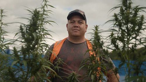 Porourangi Tawhiwhirangi at the EIT hemp plot. Porourangi Tawhiwhirangi at the EIT hemp plot.