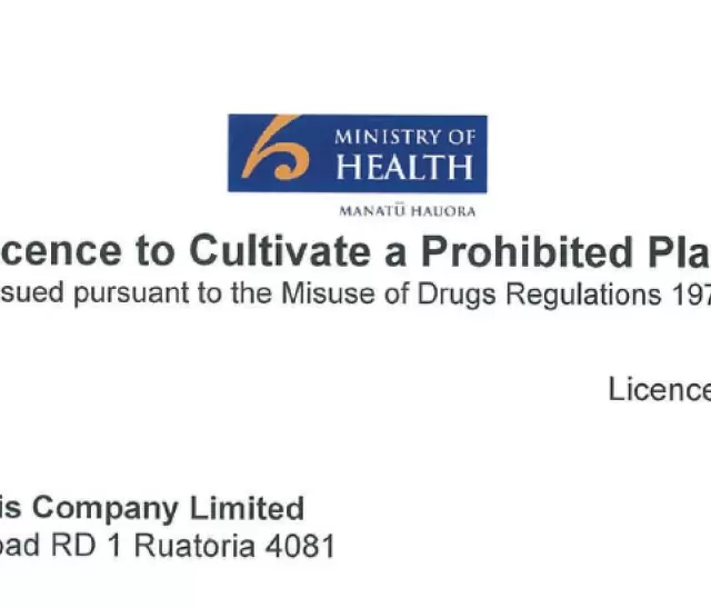 Hikurangi – first NZ company to receive medical cannabis license